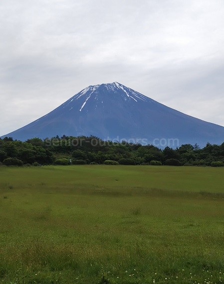 朝霧ジャンボリーから望む富士山