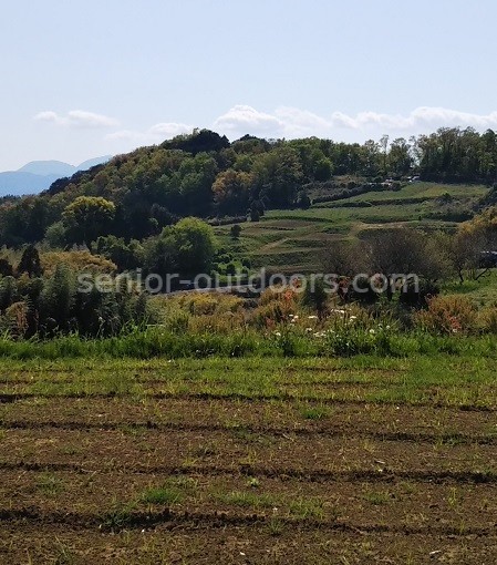 頭高山登山道からの里山の風景