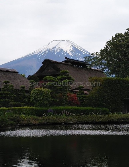 忍野八海からの富士山の全貌。やっと見ることができた！ | シニアの