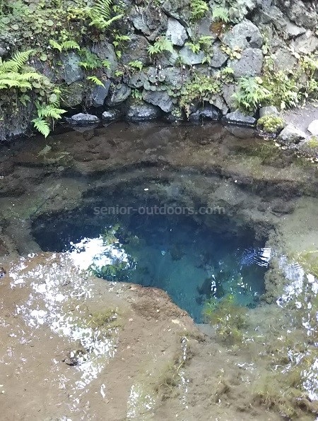 忍野八海のお釜池