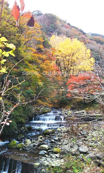 湯河原の川沿いを歩いているとこんな素敵な景色に出会います